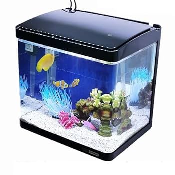 Amazon | カクレクマノミスターター飼育セット 30cm曲げガラス